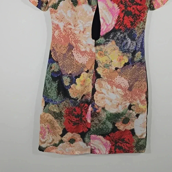 {Anthropologie} Ranna Gill Women's Fanned Vignette Shift Dress -  Size 2 - Picture 10 of 16